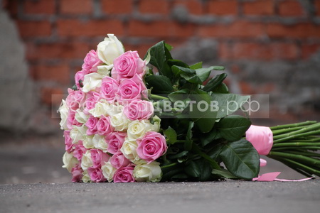 Букет из 31 розовой и белой розы "Бабл-гам"